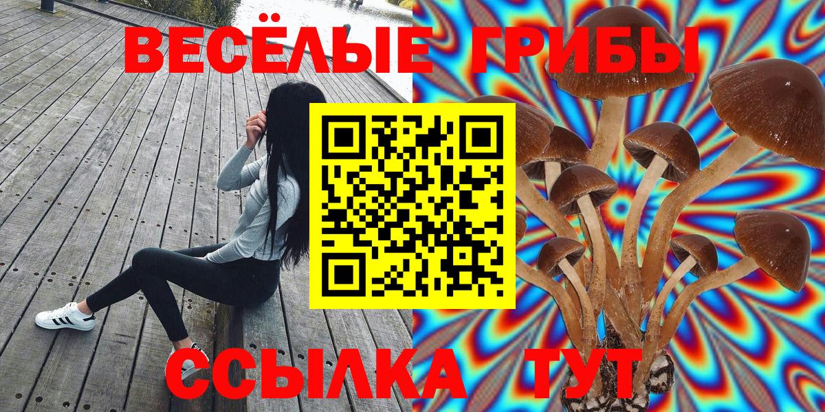 Галлюциногенные грибы мухоморы  Галлюциногенные грибы мицелий  продажа наркотиков  Вход с VPN  Краснознаменск 